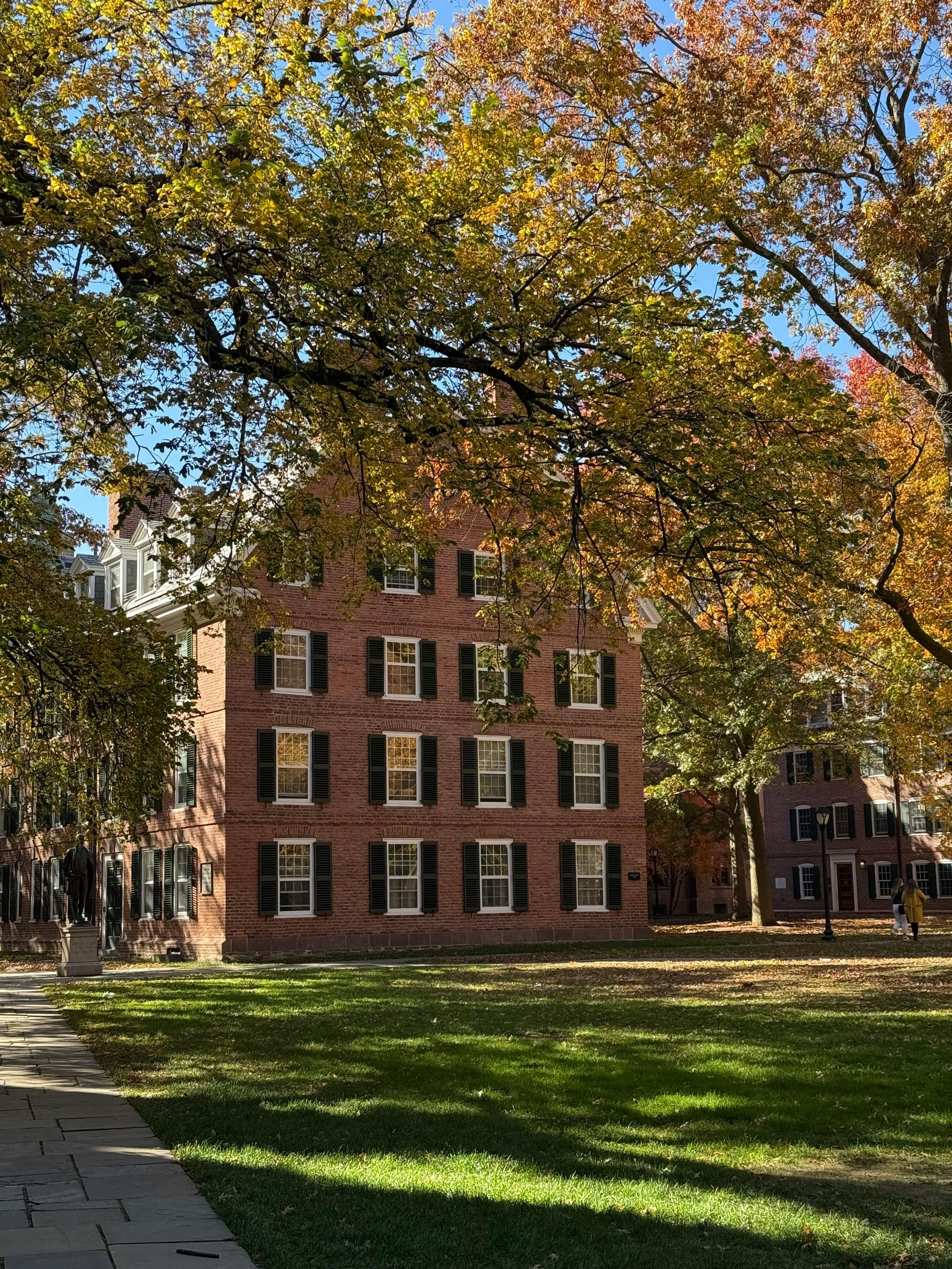 Autumn foliage on the UIUC campus